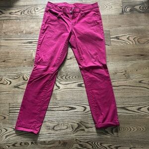 Women’s Size 4/27 Loft skinny pants